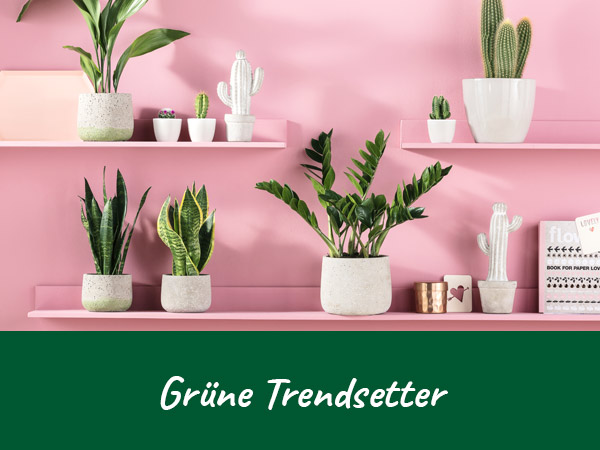 Grüne Trendsetter