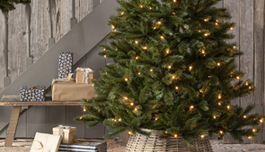 Weihnachtsbäume