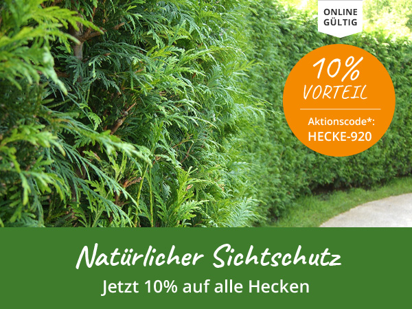 Hecken mit Incentive