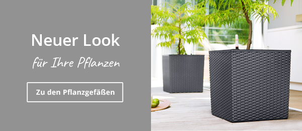 Pflanzgefäße & Übertöpfe