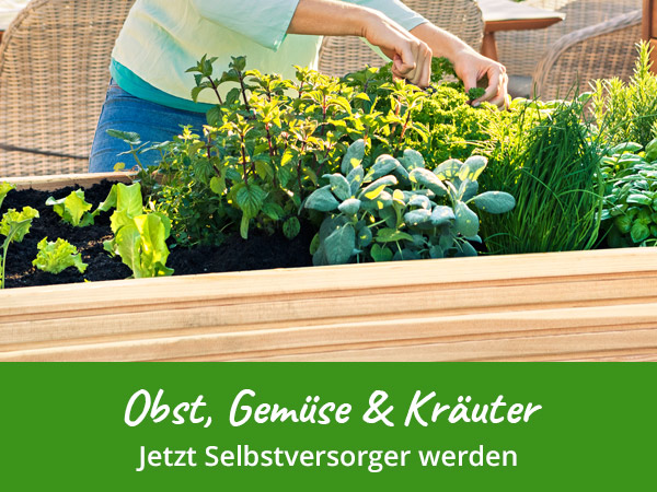 Feiern Sie mit uns den Weltfrauentag