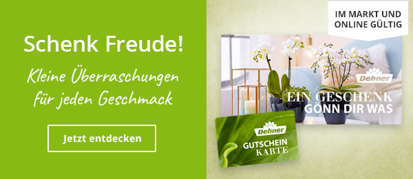 Gutscheine